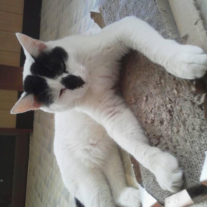 Fbae5b4a b865 4f37 87f6 66c59b7ad2cd