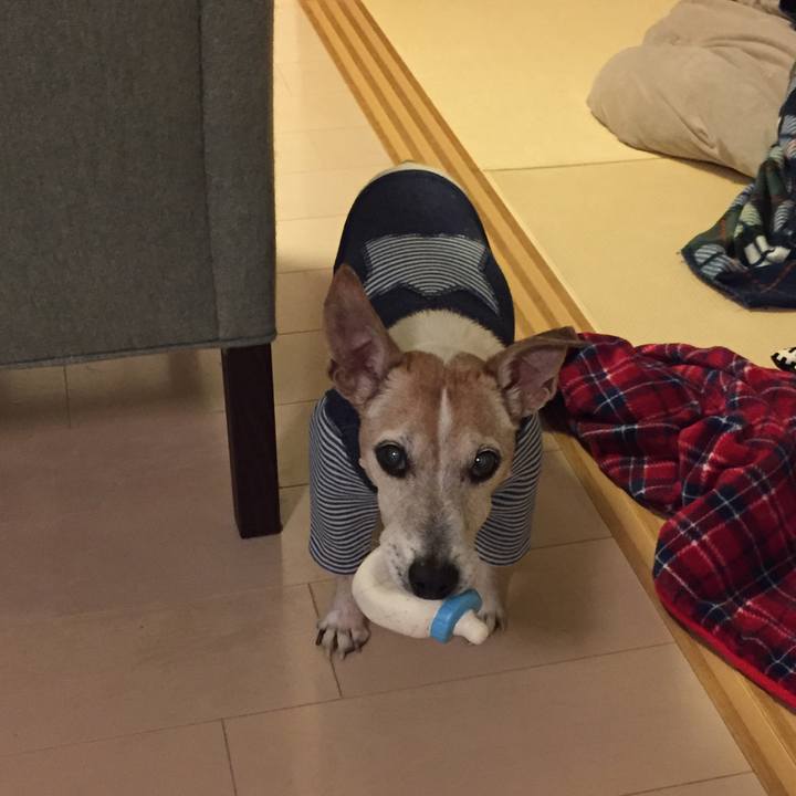 Fbae6f1e 4931 4053 b6c9 46c152e696aa