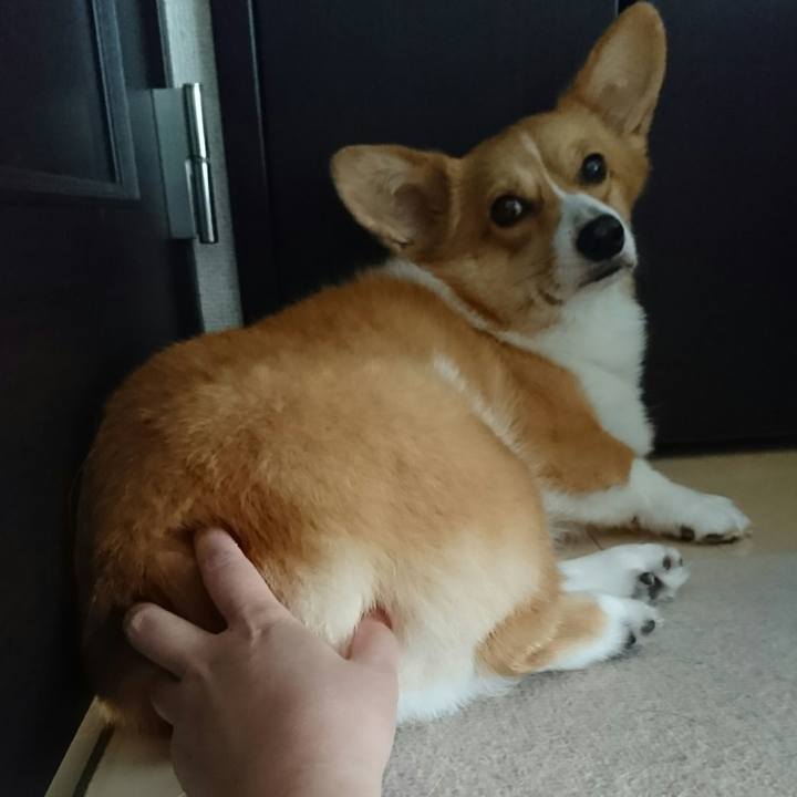 Fbaec214 7bd3 4b4f b149 d5d53b6919ac