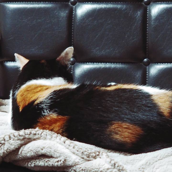 Fbafd22d 7cb7 4d91 956c e8384ab0b0dd