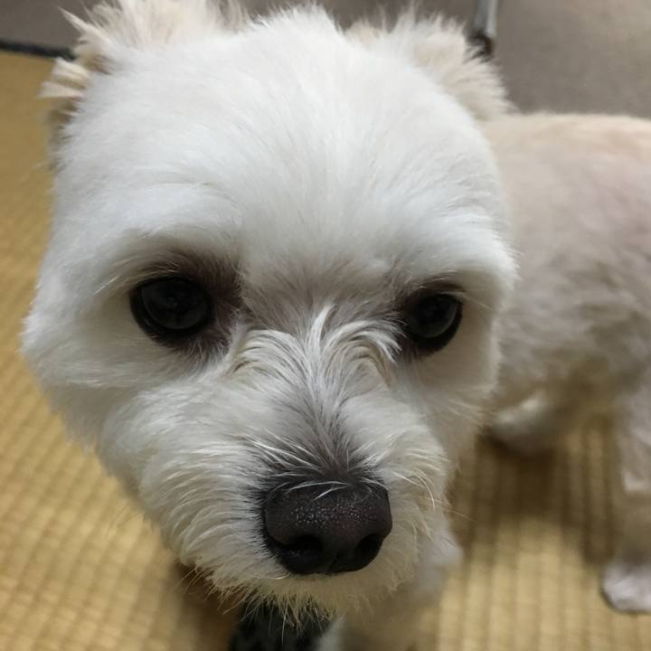 Fbb0ccc8 b2c4 4543 9c85 44653387143b