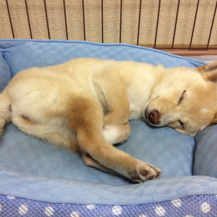 Fbb14e78 33de 413a a36d 063b7af39757