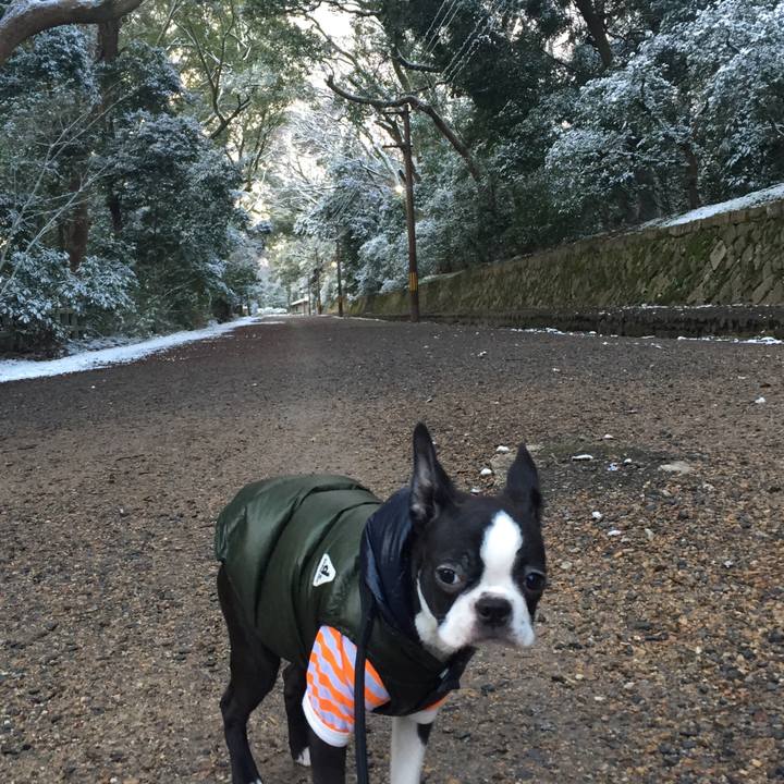 Fbb1e791 a4d8 400a 90b0 da33daedcbfd