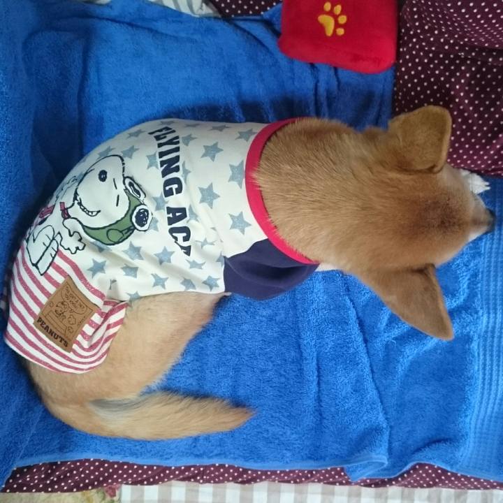 Fbb2023d ce3d 4ef3 bc75 e9085777f8a5