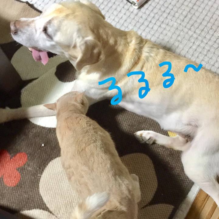 Fbb29375 c16b 4da4 b484 d798e99a6545