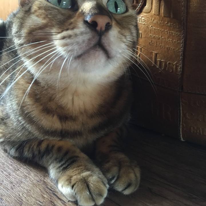 Fbb2b4d6 4dc8 406b aa93 276ba24bd946