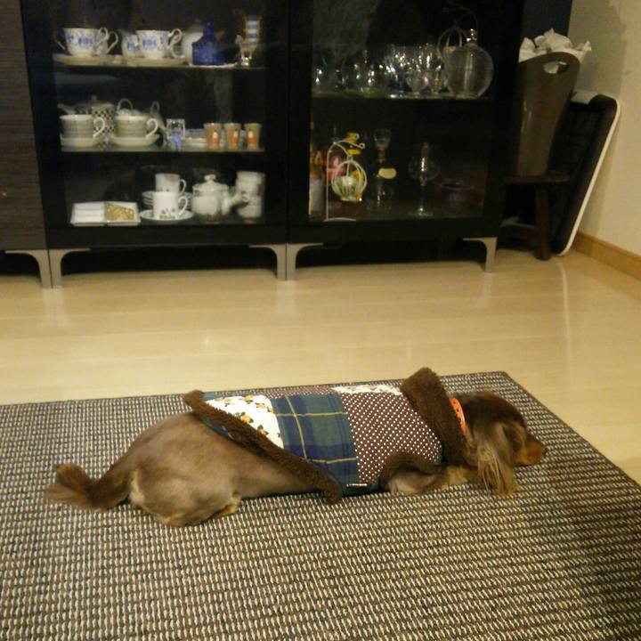 Fbb2d333 ad6d 48cd 9e75 ca9c1518a5e0