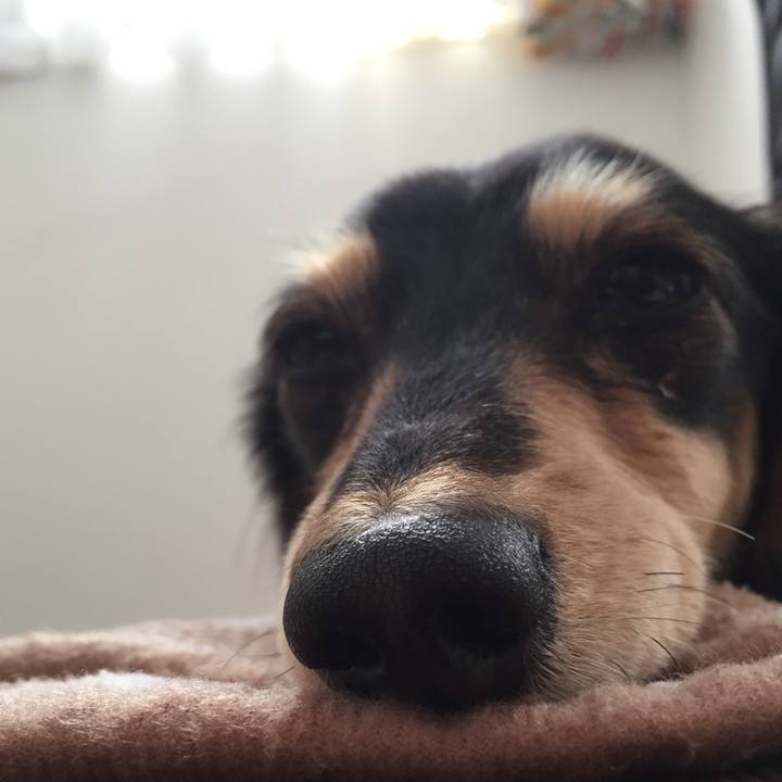 Fbb31e60 fff7 4de4 b885 04ed7e55a694