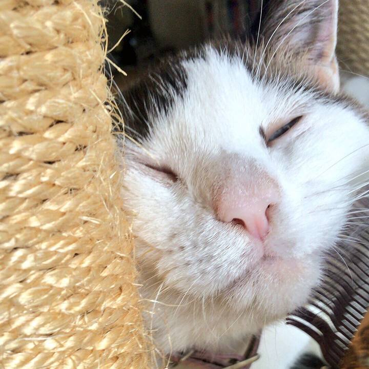 Fbb3a781 e5b7 466f 85bf b41876049739