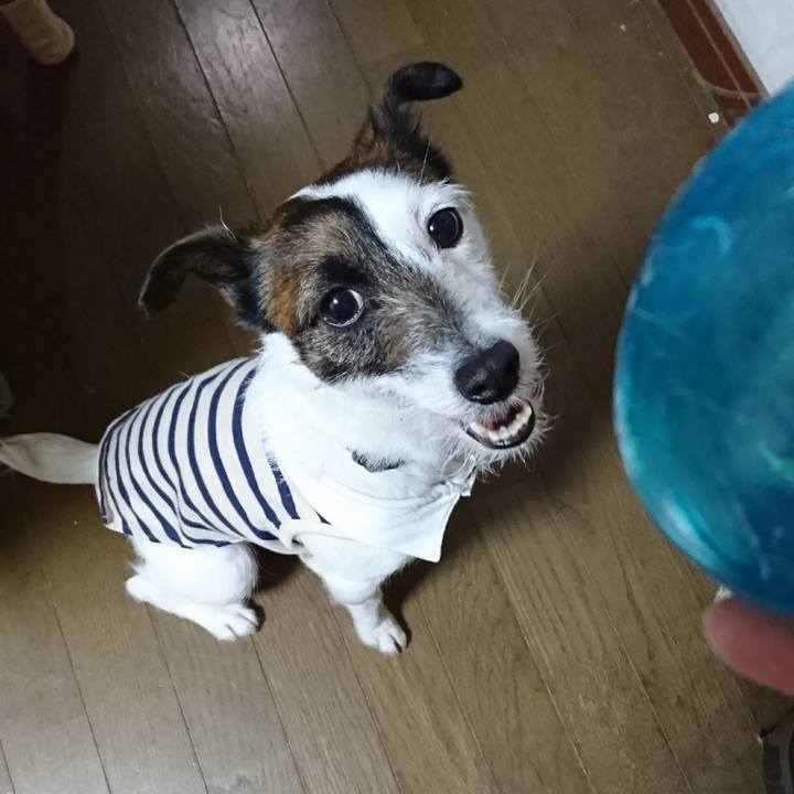 Fbb40ee1 1650 4757 be28 ac6587d45f6c