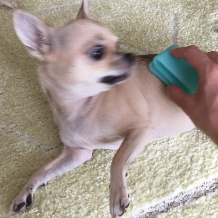 Fbb42dbb 6c0a 452a bfe5 2056c61df00b