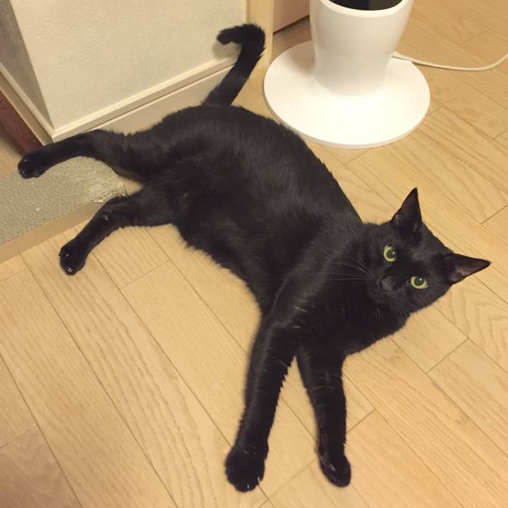 Fbb4ae23 309a 4f1e a114 93daef7659c4