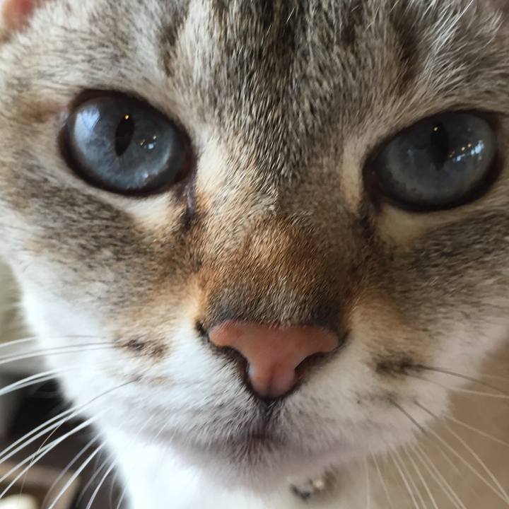 Fbb52c6a f963 4382 9256 9643e70d5ff3