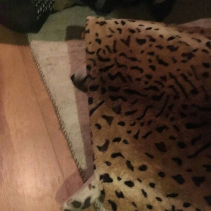 Fbb5326d 1e48 4dbc b3f1 7e65218d0cc1