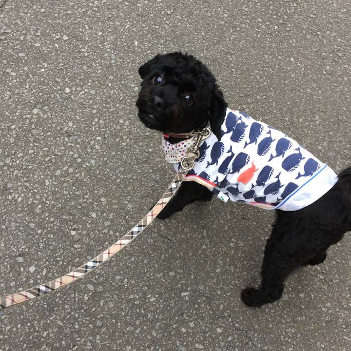 Fbb61139 d96c 4649 b05d 3dd6dd03abed