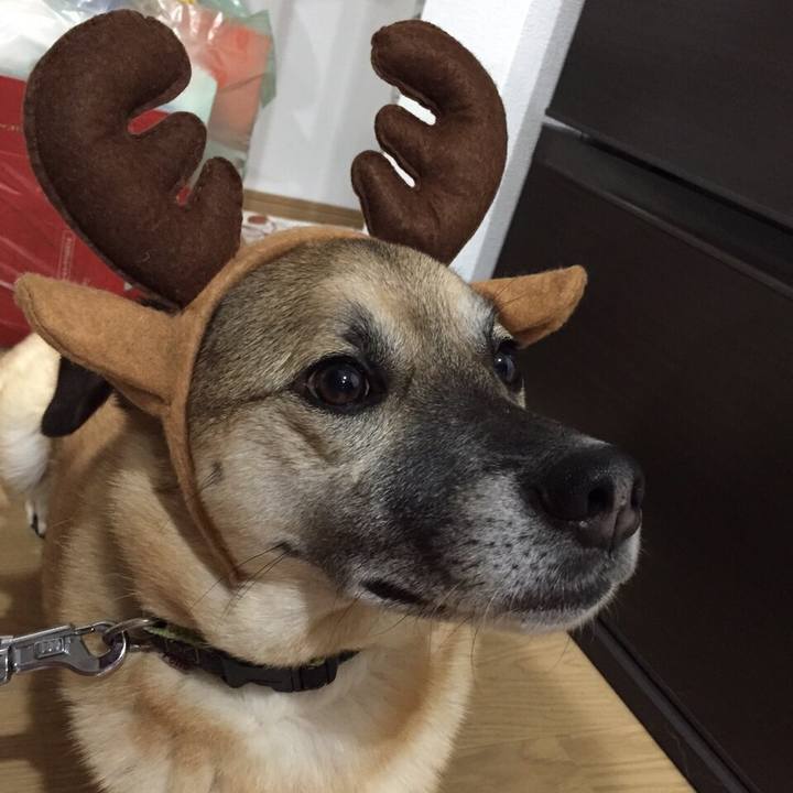 Fbb61c98 22ee 45c6 9975 9b1b0a3fae1d