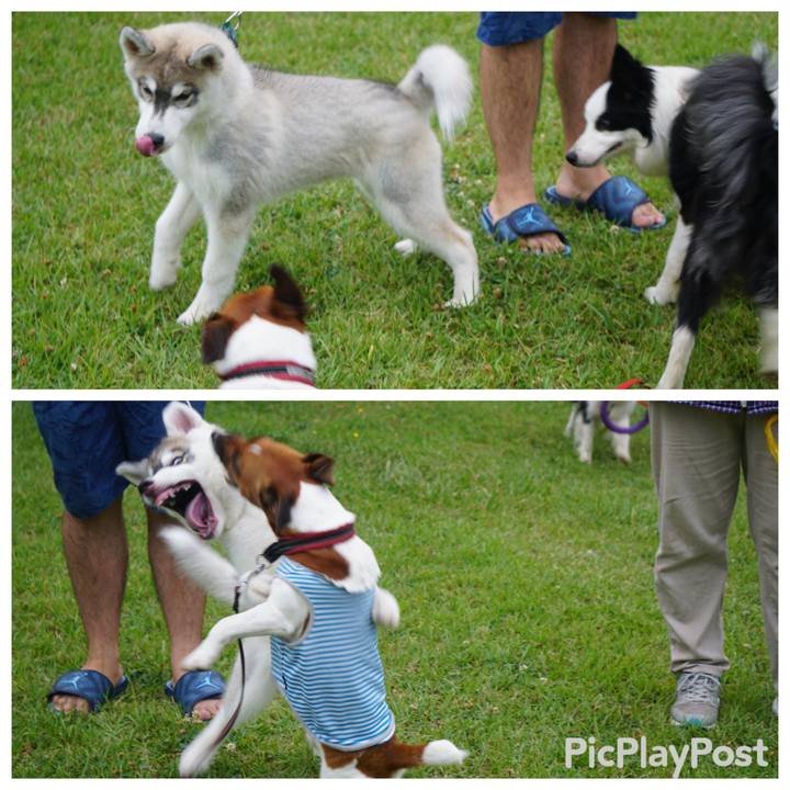 Fbb65685 0af0 4713 8d79 2ffc737d5fc2