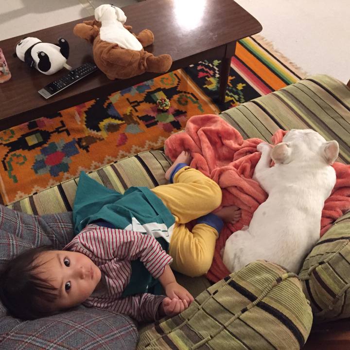 Fbb699b9 ccb5 4be5 849b 47921ffadcbe