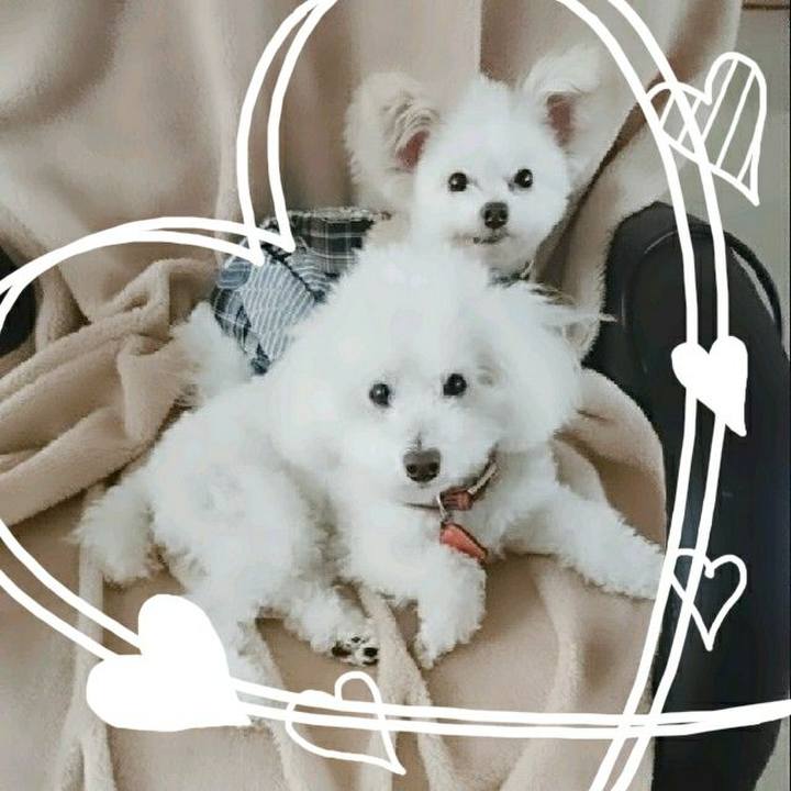 Fbb6d551 28eb 4ade 963a 2442c0d351a2