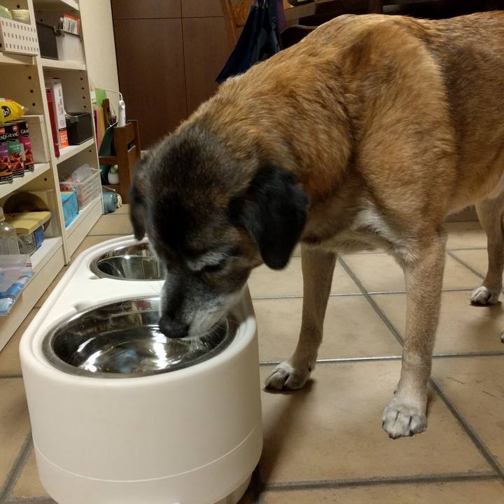 Fbb6d637 bc7c 4f71 910e 74f7303b9783