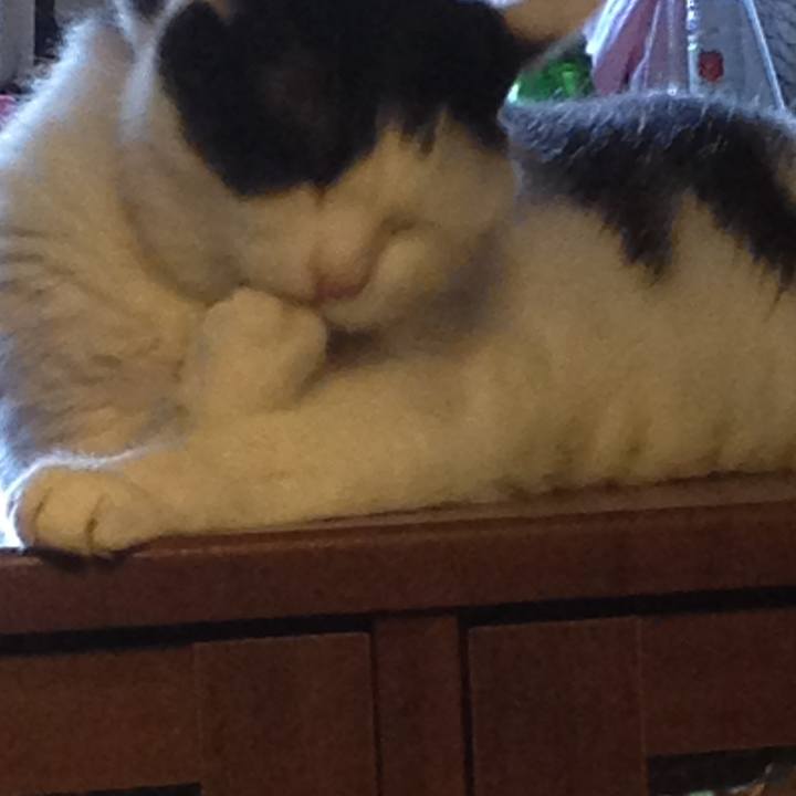 Fbb7d8a0 6ded 48cb b923 79f866045349