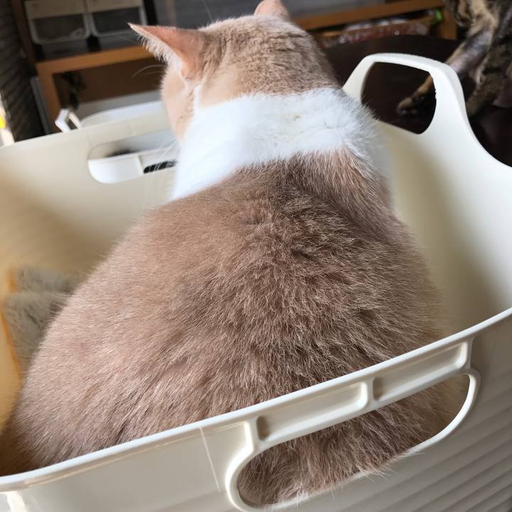 Fbb7e91f b71c 4856 943e 91a39ce5bffd