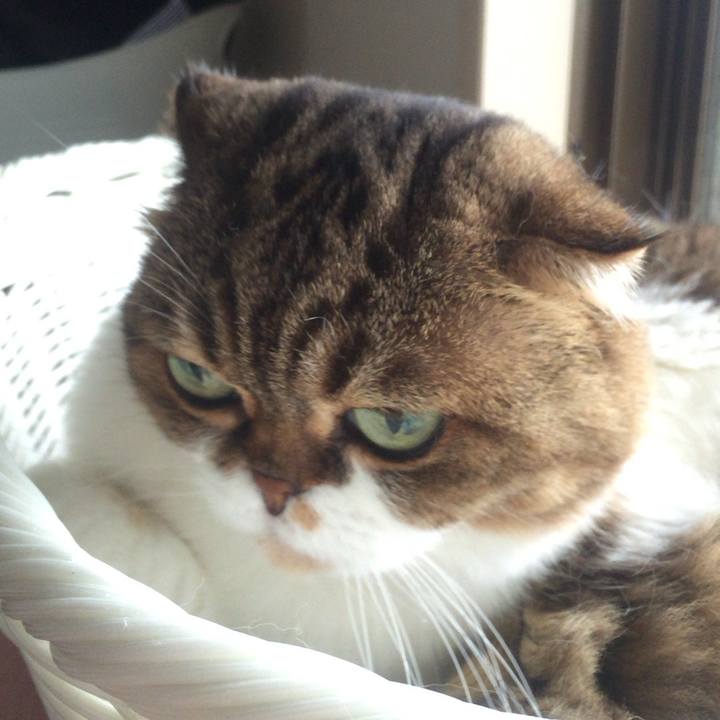 Fbb7ea5c 23f6 4f8f 9b44 022f339df7b1