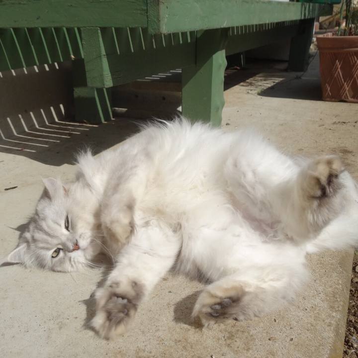 Fbb7f56f a734 46f5 a57a 0793773e69ad