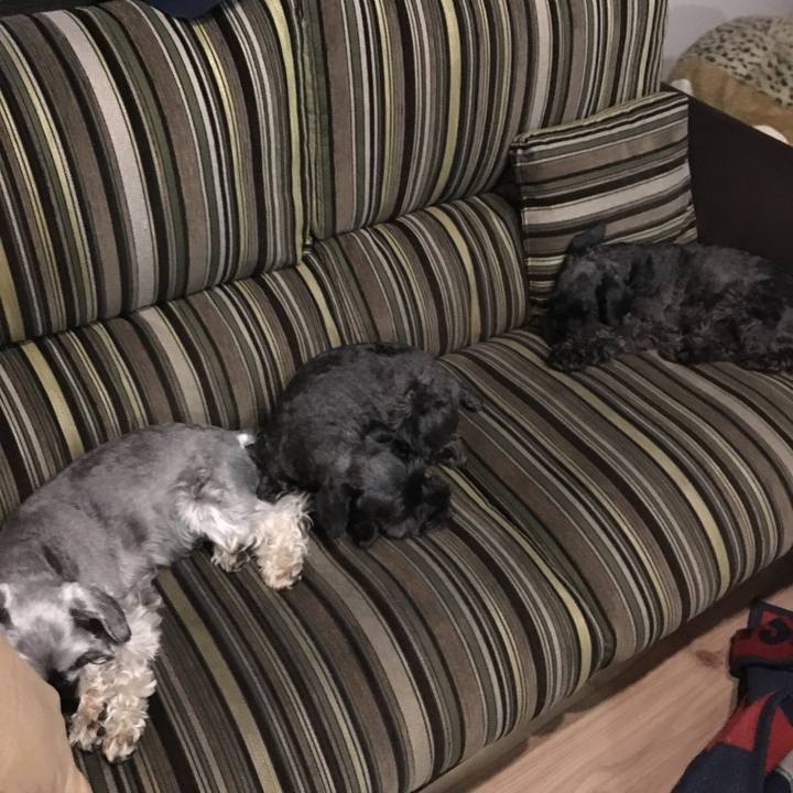 Fbb84dc3 2cd0 4e5d b493 ff12120ef09a