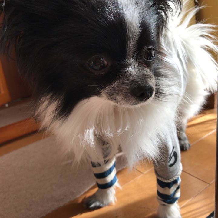 Fbb8ed2c 4018 45b4 88b5 d672ebdf3410