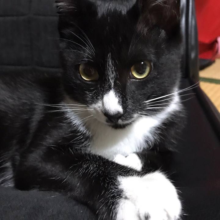 Fbb9a586 cb4a 4c68 abaa e687659a2470