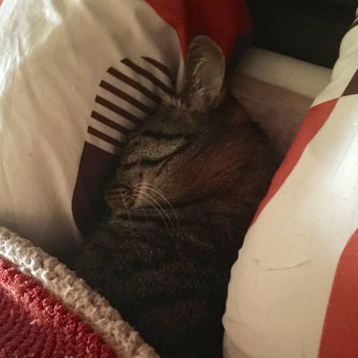 Fbba6cee 81ce 4fd6 8a7f 52e71d0799aa