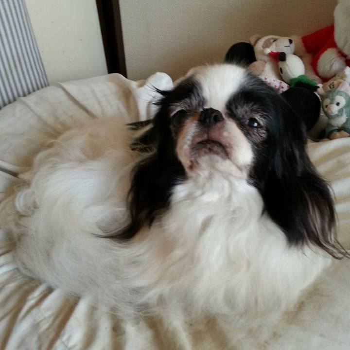 Fbba8ccc 43ea 4901 a195 4e36e755b8ee