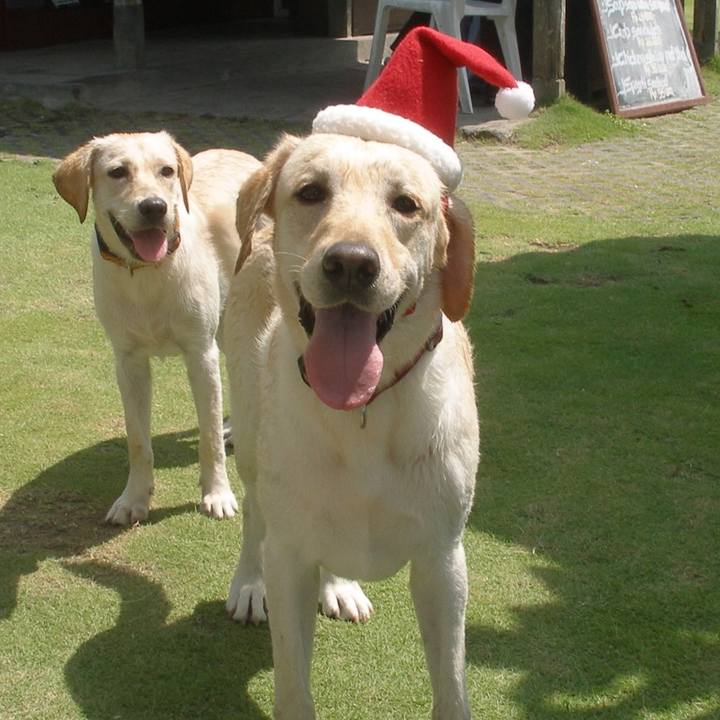 Fbbce4a1 c3ae 4cdd 93d8 abdd24abeb83