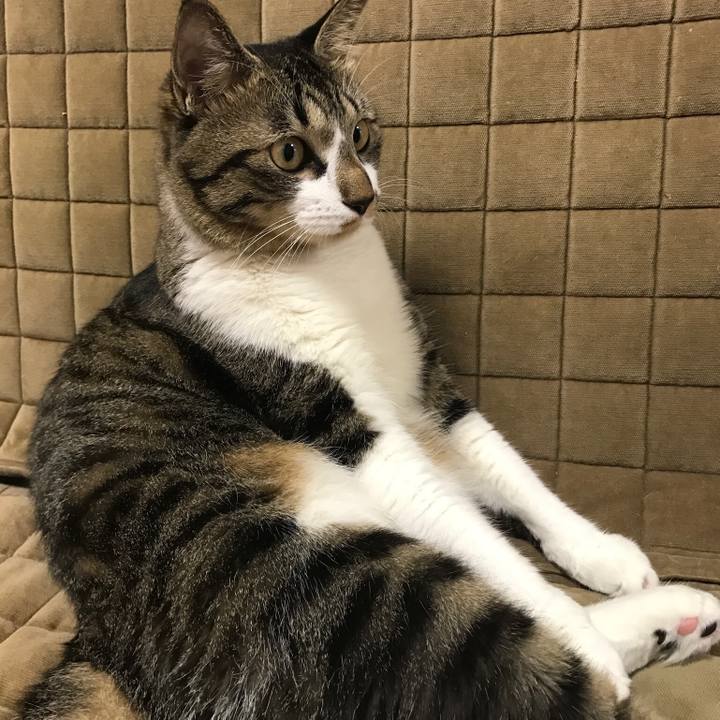 Fbbcf666 89c9 4635 8fbb 0608c2ca2de6