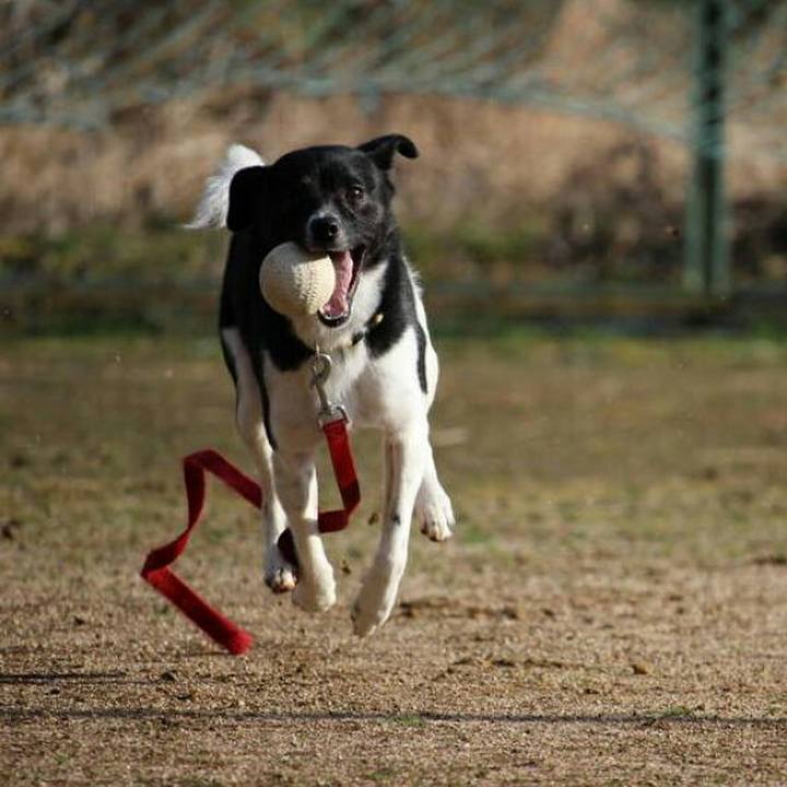 Fbbd759b 2515 47ba b4f3 6655a3513e9f