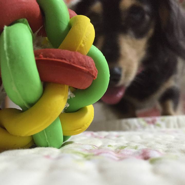 Fbbdb0c3 2530 43dc 9e53 67eb74151a30