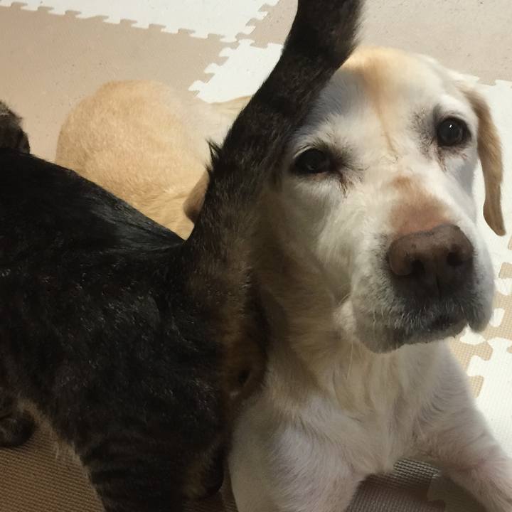 Fbbdc117 da52 4e61 b468 ff25c71d0691