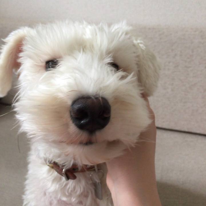 Fbbe253f 11a6 427e 99be 9ec50772c617