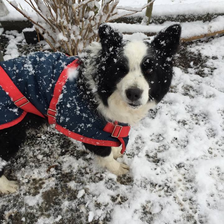 Fbbe4cbb 1c78 4398 a53e 9d2cd25457f9