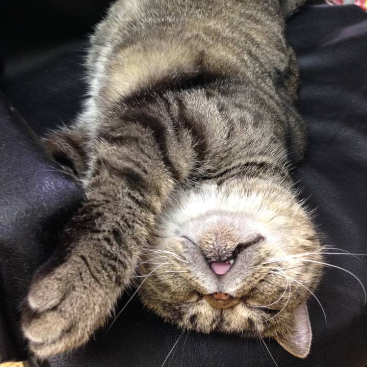 Fbbed3e3 272e 494c a927 e636ec4b32aa