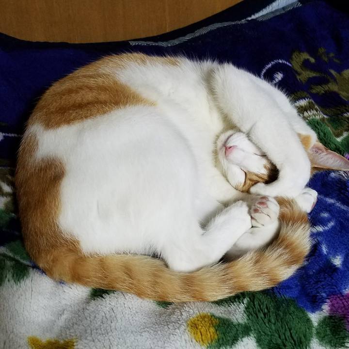 Fbbf5da5 8e70 462f a87e c7677ba4e1ed