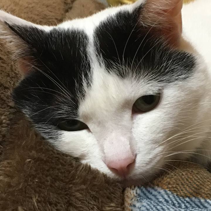 Fbbfe847 1ecf 4046 8098 462c2b94691c