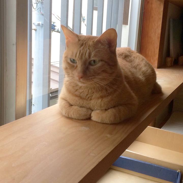 Fbc16391 de5b 4814 9894 1f8565d57fb4