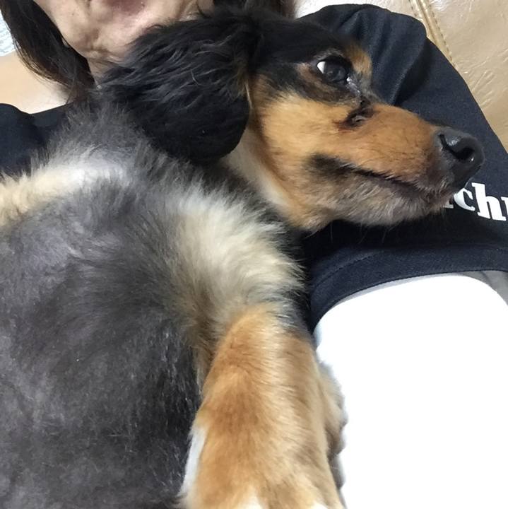 Fbc1c0a1 a947 456c 81fd c2add8a595b3