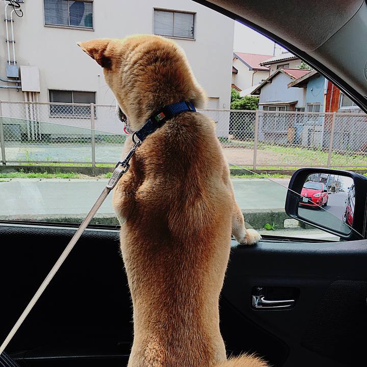 Fbc25ff9 acb6 4f32 b8fb 95e24cab7d39