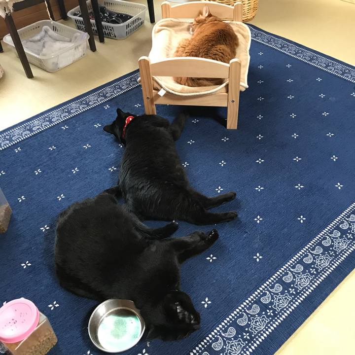 Fbc28cb3 c6d4 4aa5 b376 2696e2dc69f2