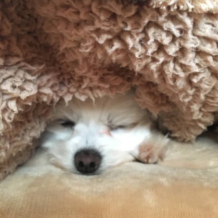 Fbc29099 f8a4 4251 9fc4 1c2ca10c8a97