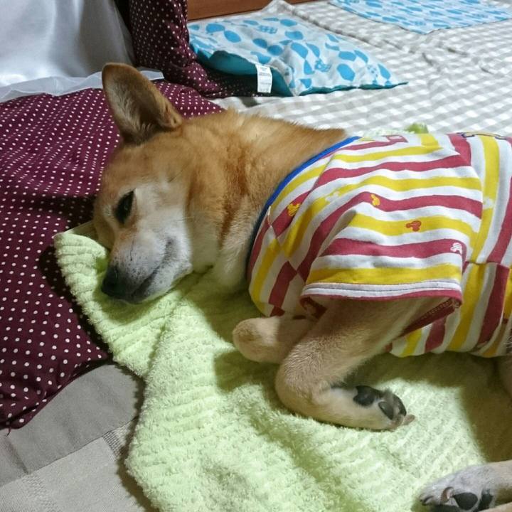 Fbc2d36e 1f10 40f7 97cb c68f72ca5e89