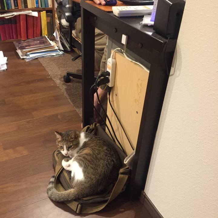 Fbc2f22c 0910 4096 b774 434b1603ccad